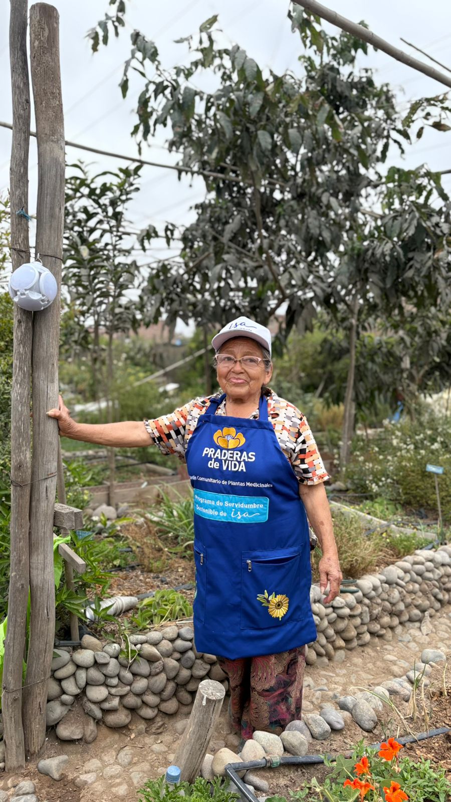 “Praderas de Vida”, el primer jardín medicinal productivo en Lima.