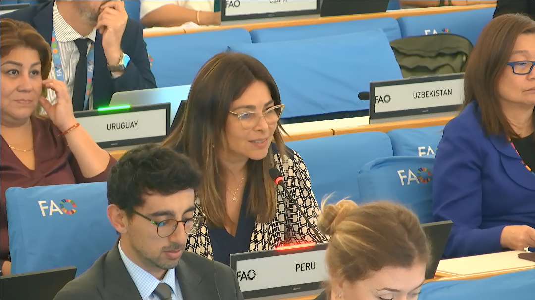 Ministra Canales reafirma ante la FAO el compromiso del Perú para reducir todas las formas de malnutrición . 