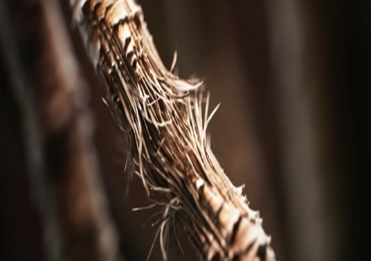 Salud capilar en verano: cómo proteger tu cabello y cuero cabelludo en la estación más calurosa del año