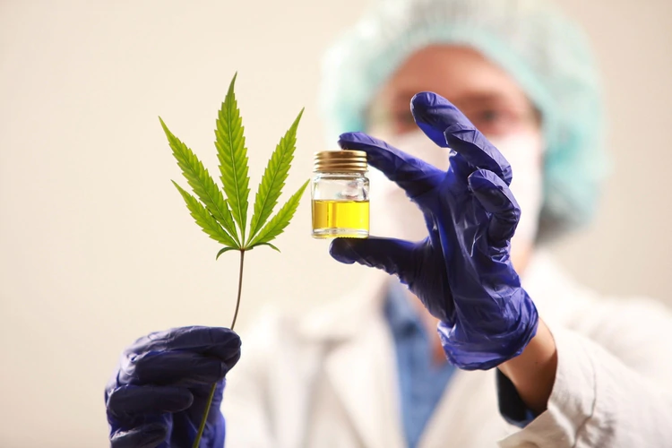 Khiron: Primera compañía en distribuir un producto legal de cannabis medicinal en Colombia y en obtener licencias en Perú