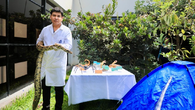 Minsa brinda recomendaciones para evitar mordedura de arañas y otros animales ponzoñosos durante campamentos por Semana Santa