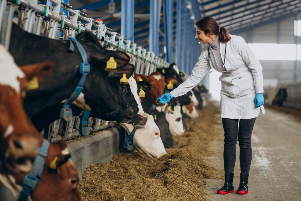 MSD ANIMAL HEALTH PERÚ REVOLUCIONA LA GANADERÍA LECHERA CON TECNOLOGÍA INTELIGENTE