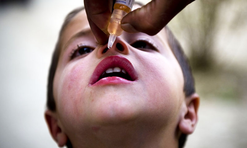 Día Mundial Contra la Polio (24 de octubre): Enfermedades erradicadas por la vacunación