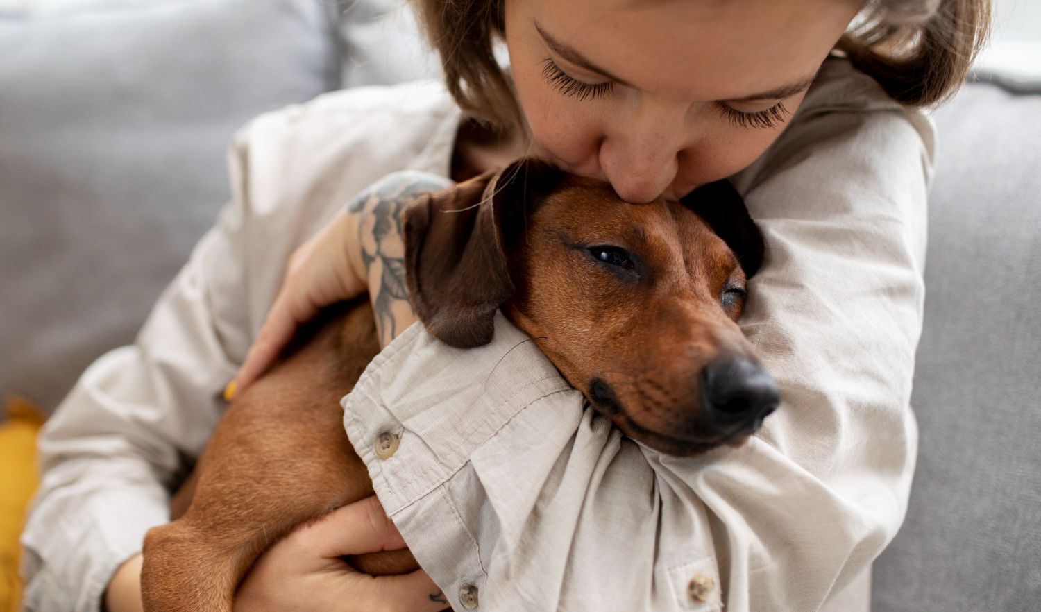 Sismos en Perú: ¿Cómo proteger a nuestros perros y gatos ante una emergencia?
