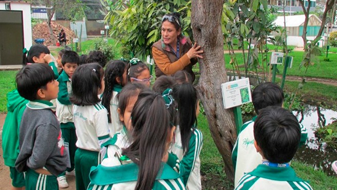 Minsa reinicia ciclo de visitas a sus jardines botánicos de plantas medicinales y alimenticias