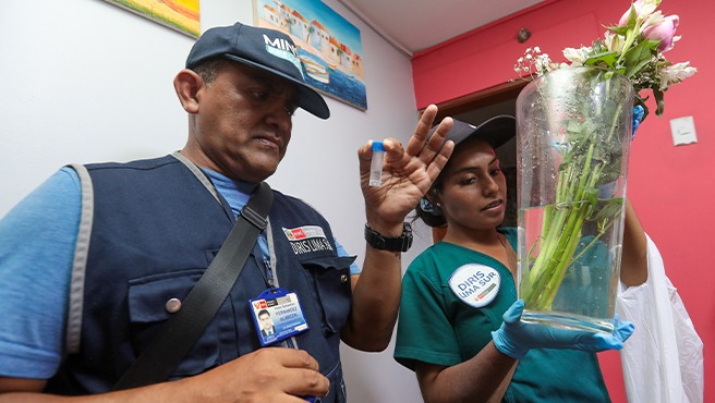 ¿Cómo prevenir en el hogar la aparición del zancudo que transmite el dengue?
