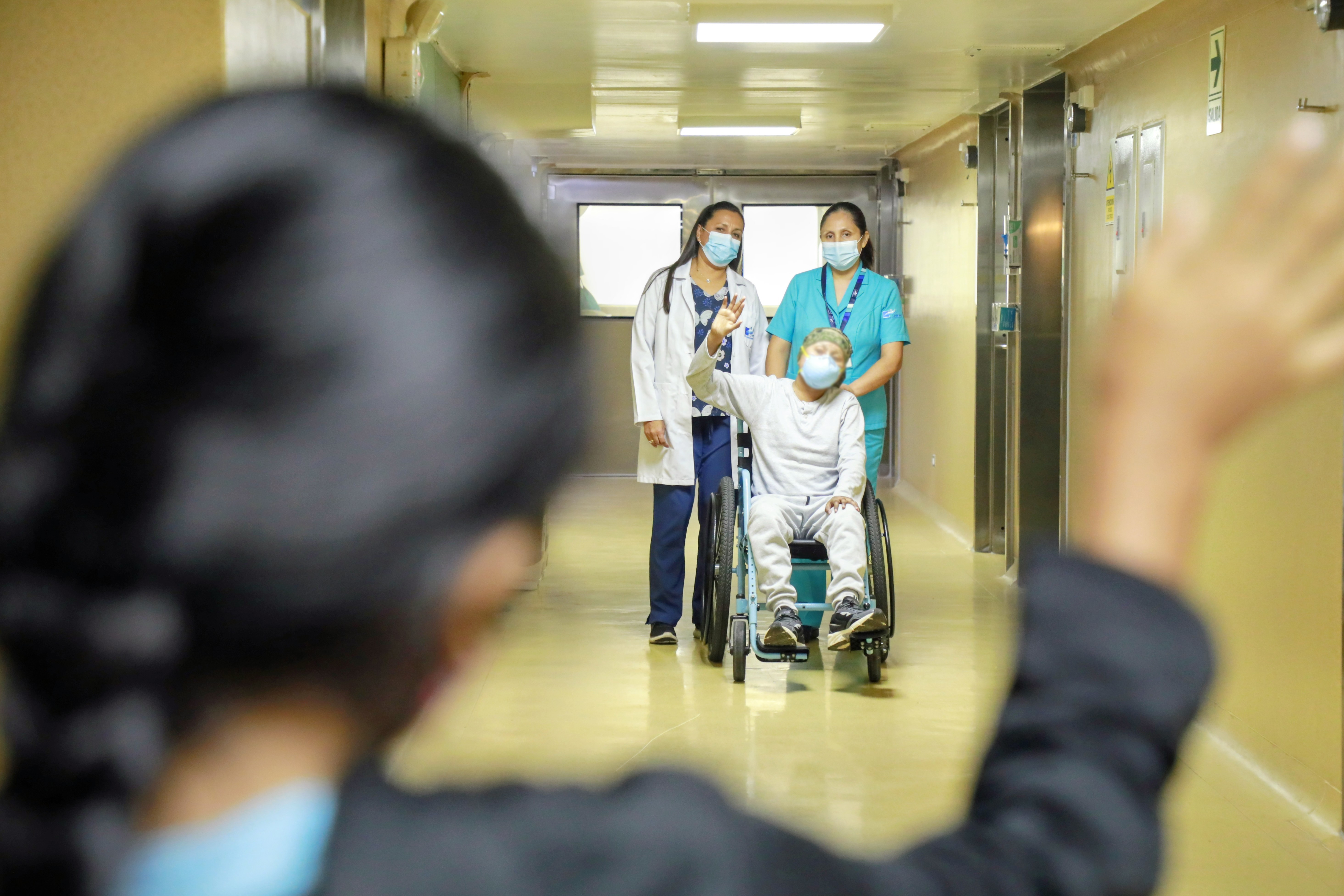 Minsa: Más de 200 peruanos recibieron un trasplante de médula ósea en lo que va del 2026