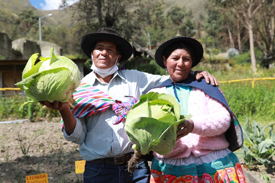 Midis: más de 469 000 hogares de zonas rurales mejoran sus ingresos con fortalecimiento de sus capacidades
