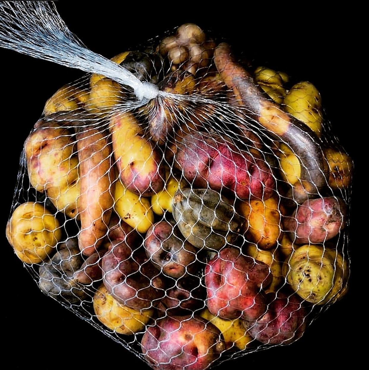 La papa, un alimento de un alto valor nutricional