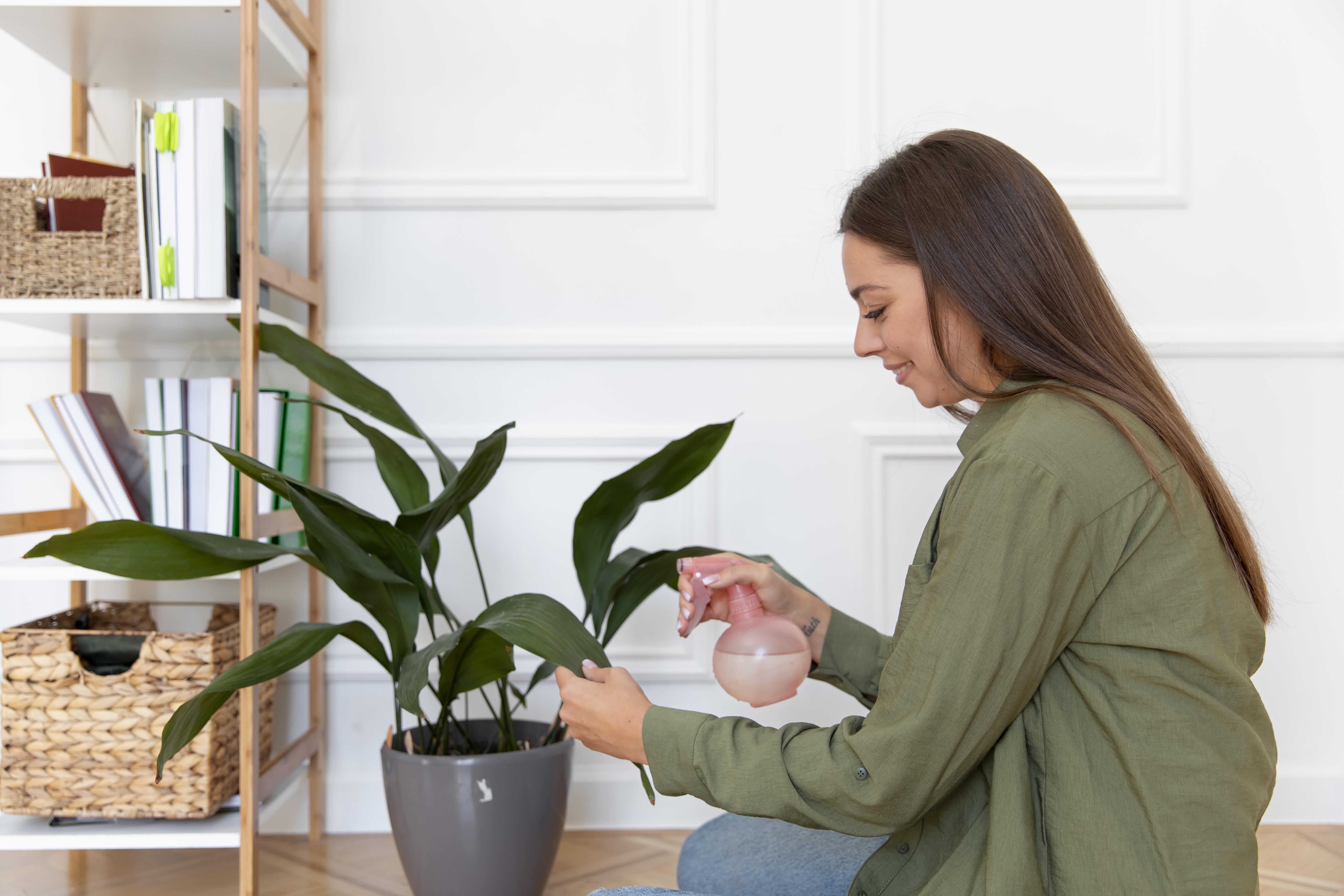 Ventilación en casa: cómo mantener tu hogar fresco de manera eficiente este verano