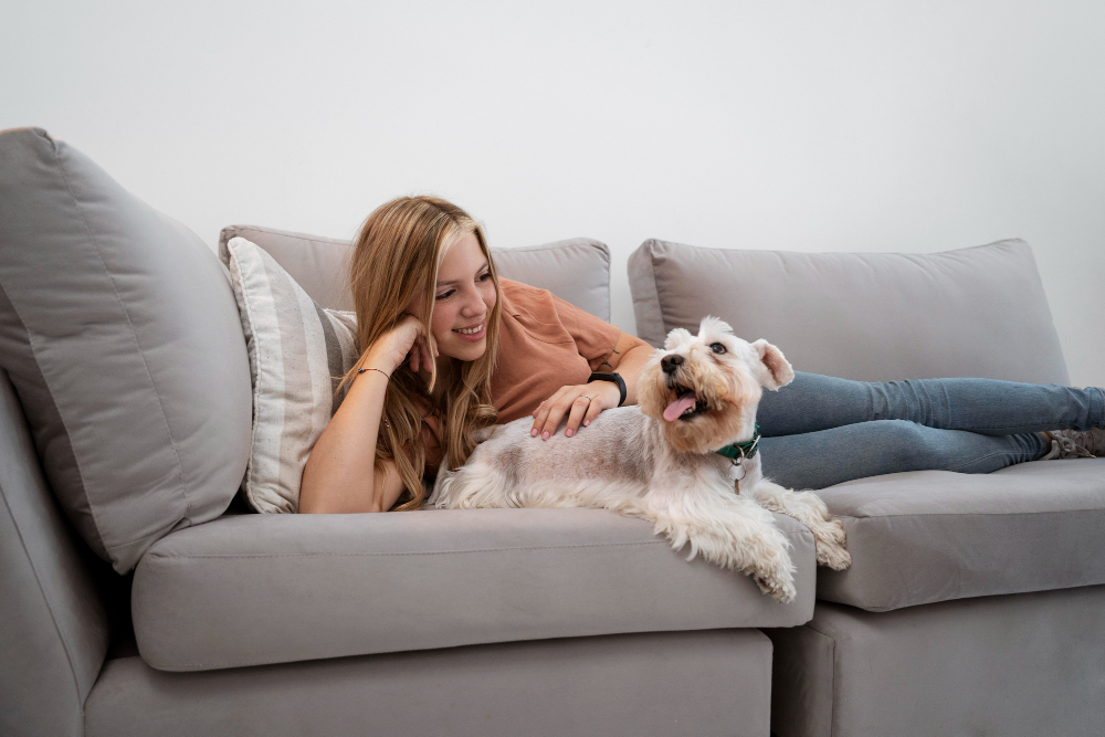 CACHORRO EN CASA: 5 RECOMENDACIONES PARA UN COMIENZO FELIZ Y SALUDABLE