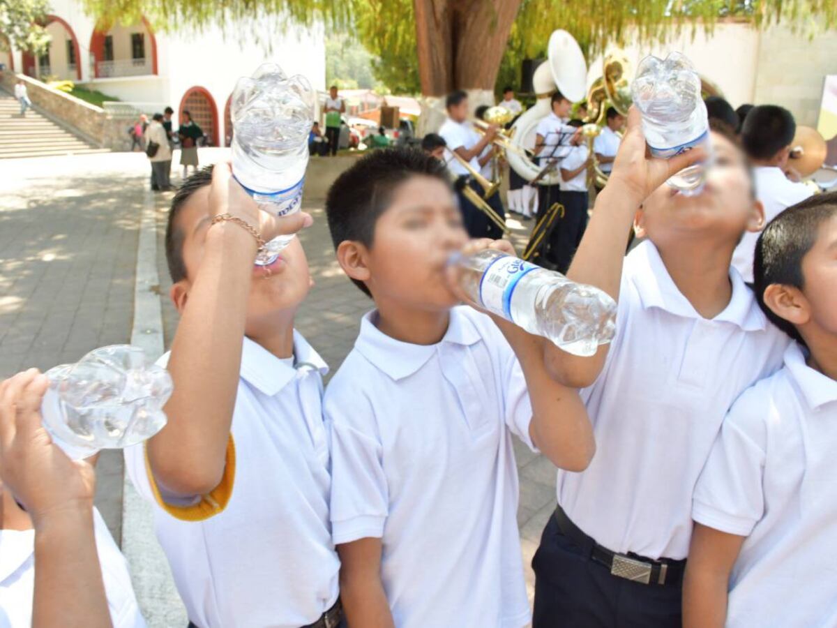 ¿Cómo impacta la hidratación en el aprendizaje? La clave para un regreso a clases exitoso