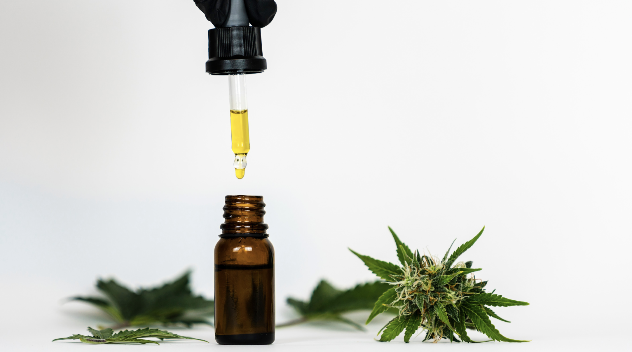 Lima, Arequipa, Callao y La Libertad, son las regiones con mayor número de pacientes usuarios de cannabis medicinal