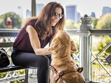 Día de amar a tu mascota: Tips para celebrar a tu perro o gato