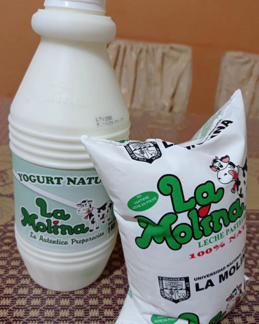 CINCO BENEFICIOS DE LA LECHE