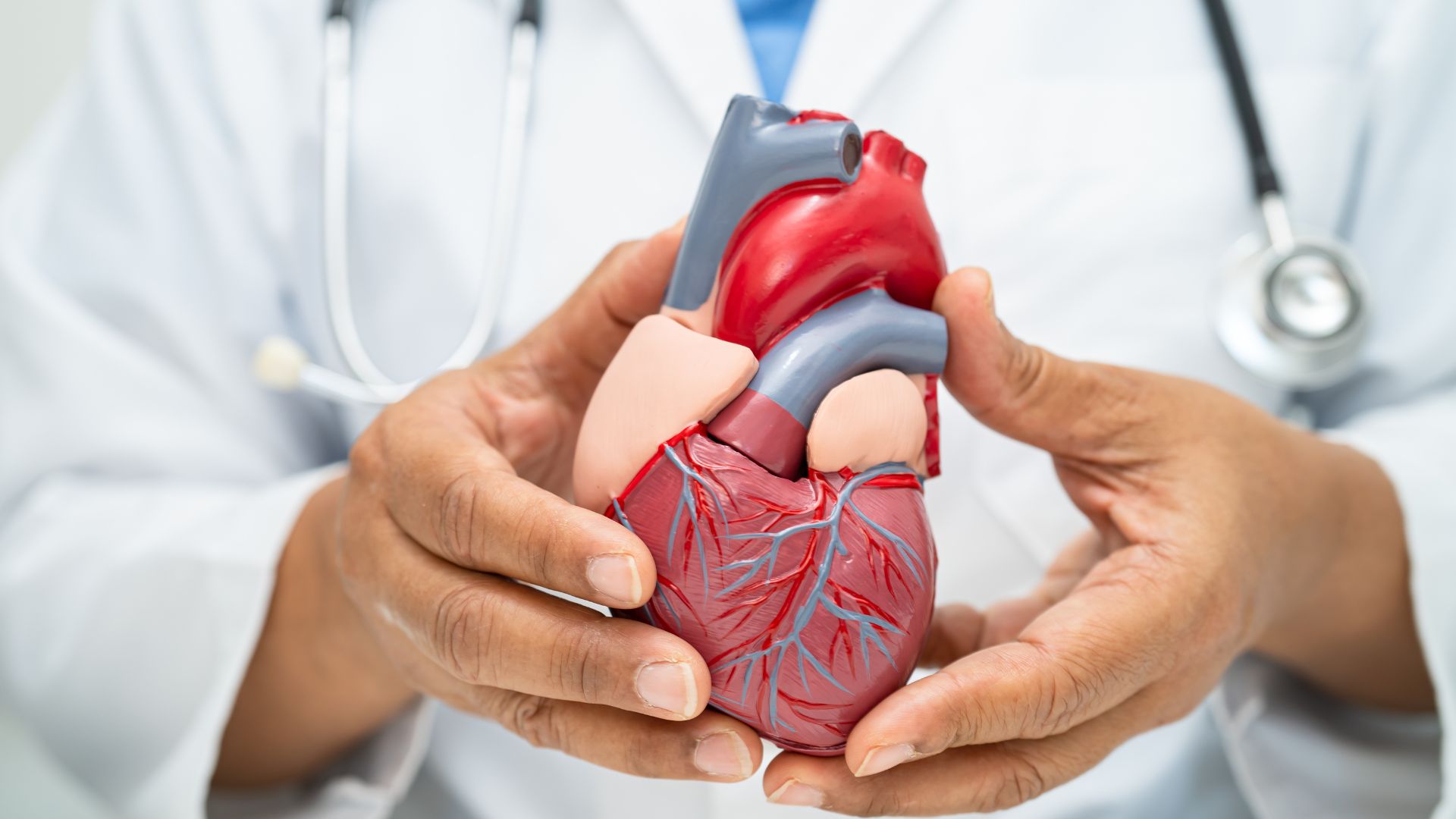 Prevención de enfermedades cardiovasculares: actuar a tiempo puede salvar vidas