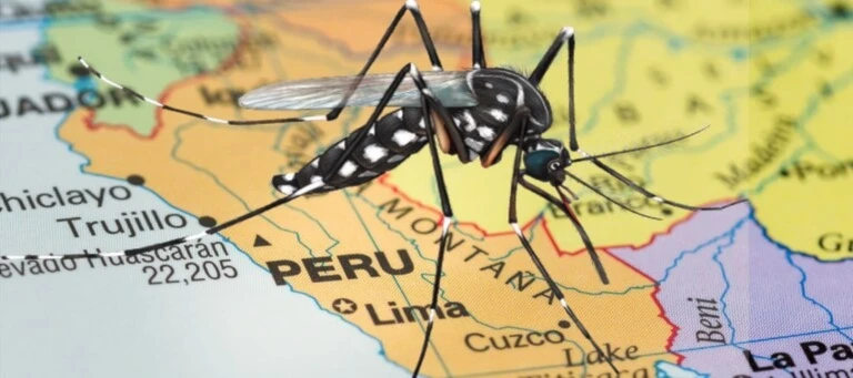 ¡Crisis en Perú! Más de 15,000 casos confirmados de dengue y 19 muertos en lo que va del año