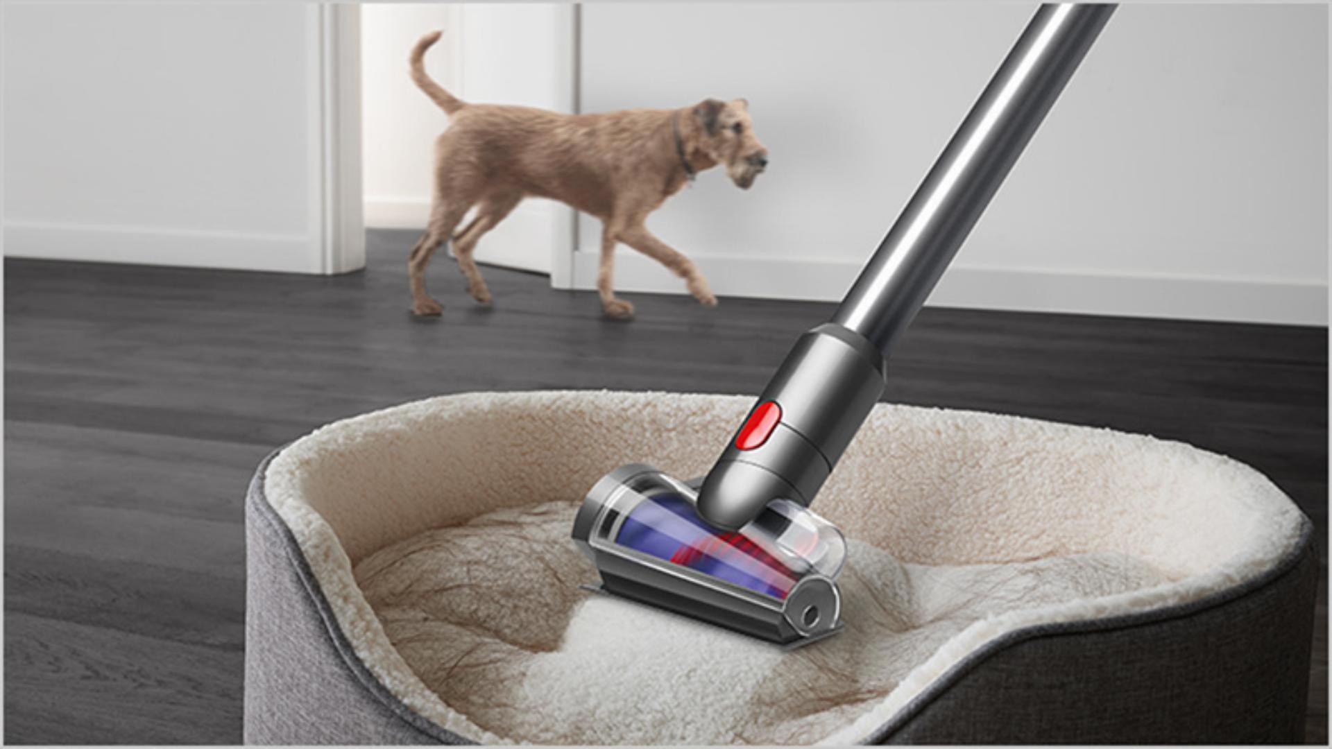 DÍA MUNDIAL DEL PERRO: 5 TIPS PARA ELIMINAR LOS PELOS DE TU MASCOTA Y MANTENER TU HOGAR LIMPIO