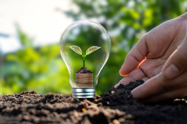 Día Mundial de la Energía: ¿Está su instalación eléctrica preparada para el consumo eficiente?