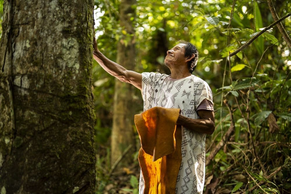 PERÚ SUPERA EL MILLÓN DE HECTÁREAS CERTIFICADAS EN MANEJO FORESTAL RESPONSABLE