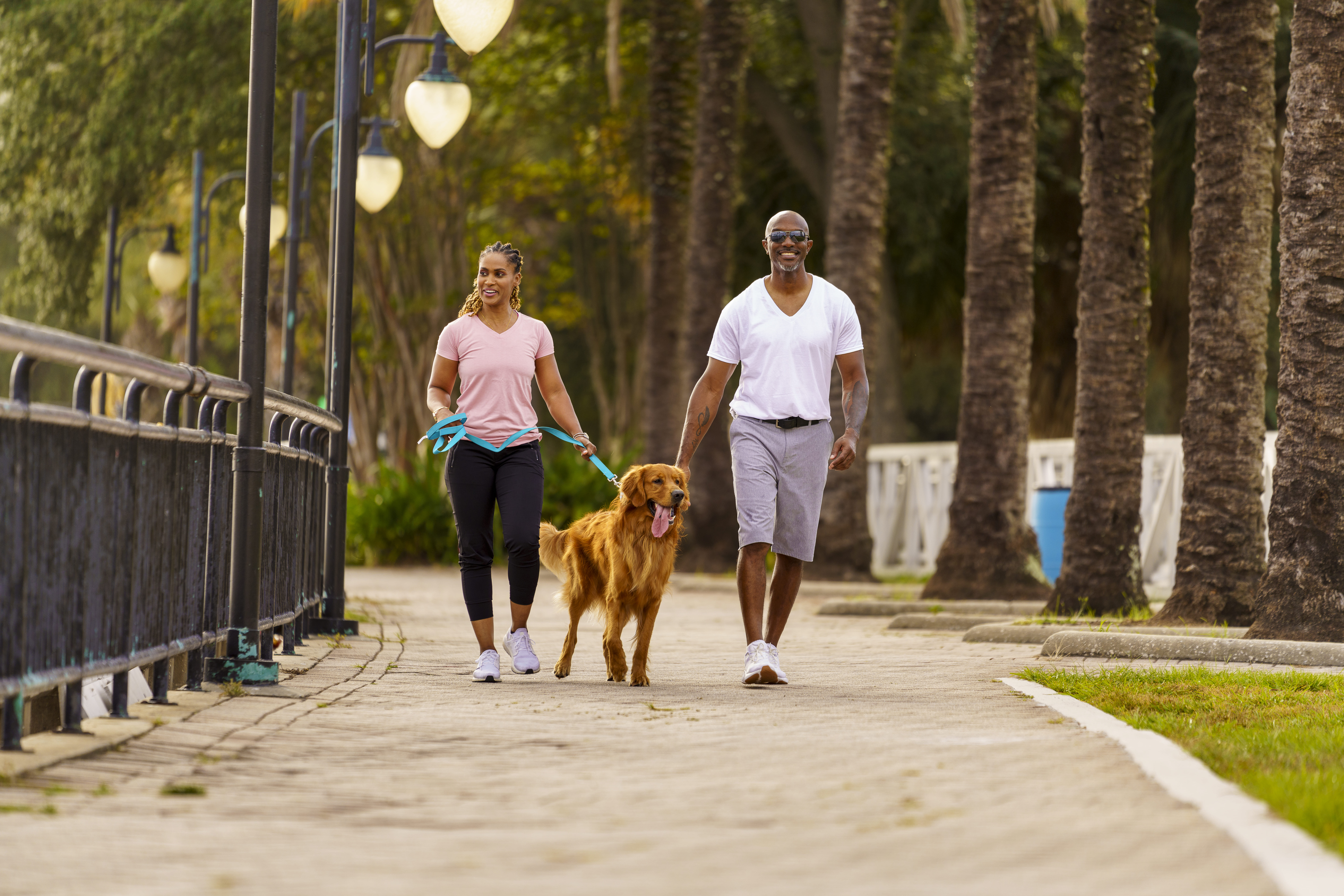 Diabetes canina: Los cuidados que hay que tener y cómo prevenirla