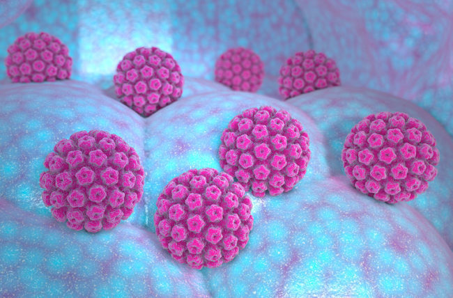 VACUNA CONTRA EL VIRUS DEL PAPILOMA HUMANO MARCA EL CAMINO EN LA PREVENCIÓN
