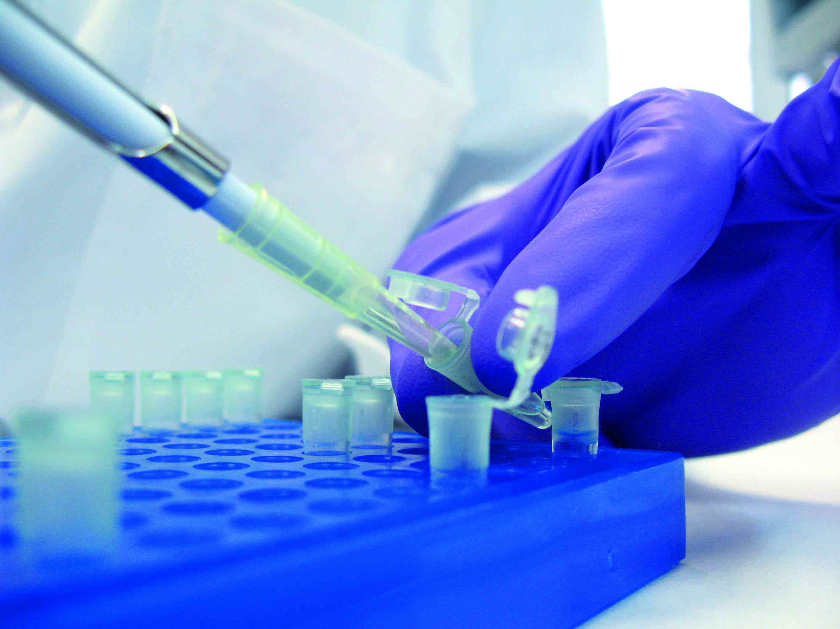 Por primera vez un estudio permite ver el estallido de la membrana del virus SARS-CoV-2 al entrar en contacto con el CPC