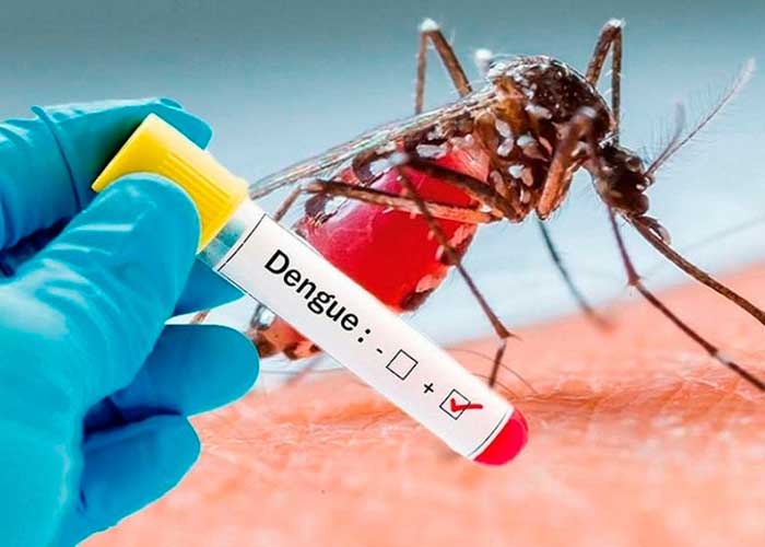 Investigadores alertan aumento de casos de dengue durante la pandemia