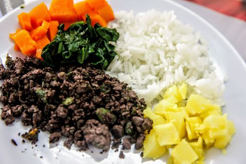 Vacaciones de verano: alimentos para prevenir la anemia en niños