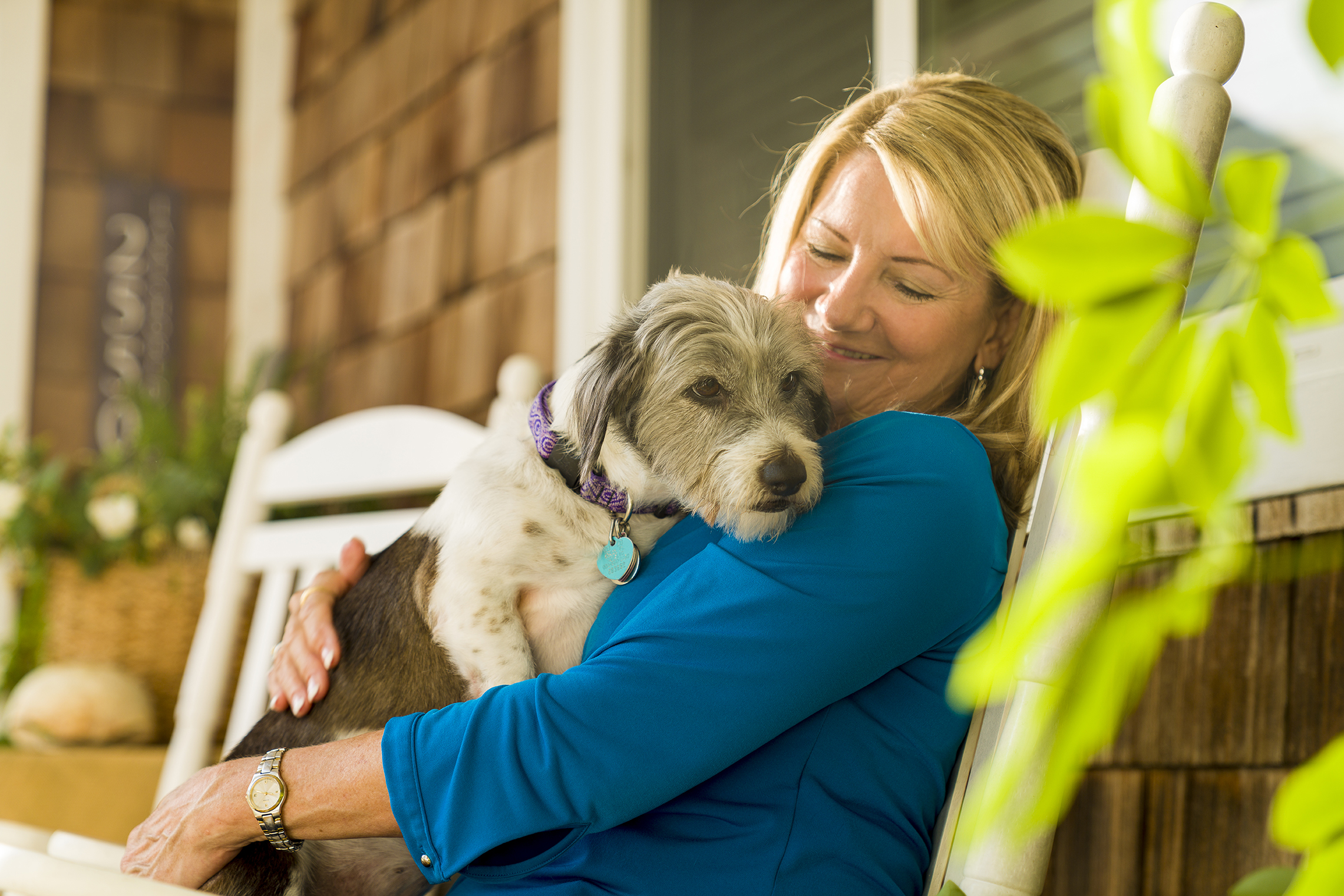 Día del Perro: 5 consejos esenciales para garantizar calidad de vida a nuestras mascotas